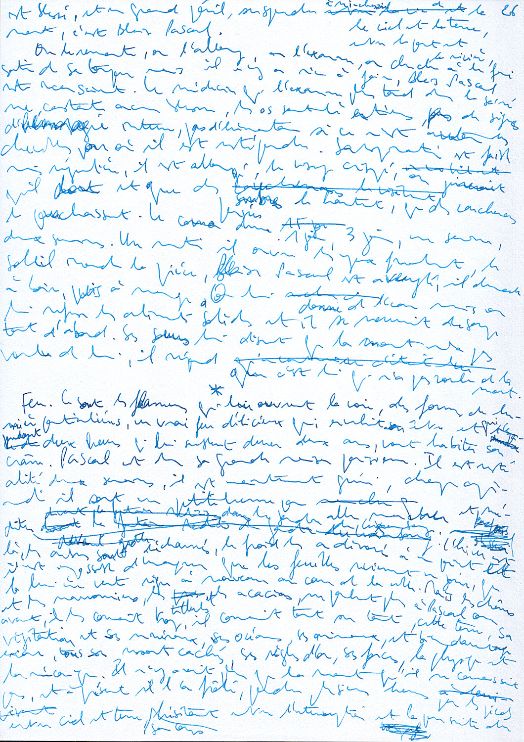 Manuscrit autographe,
                              2013